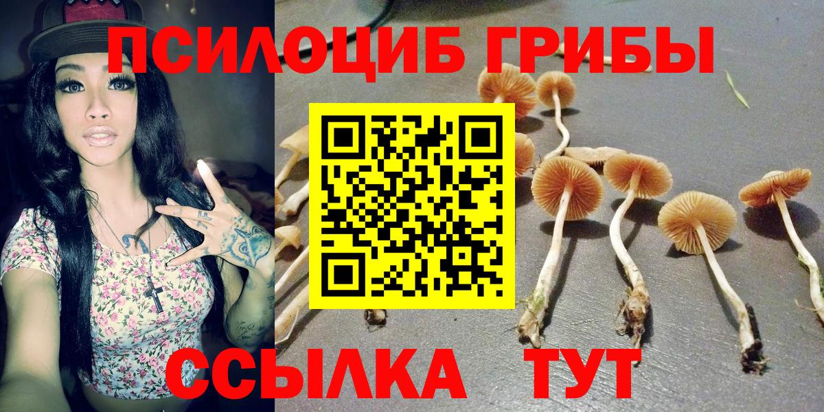 Гусиноозёрск  Псилоцибиновые грибы MAGIC MUSHROOMS  Вход с VPN 
